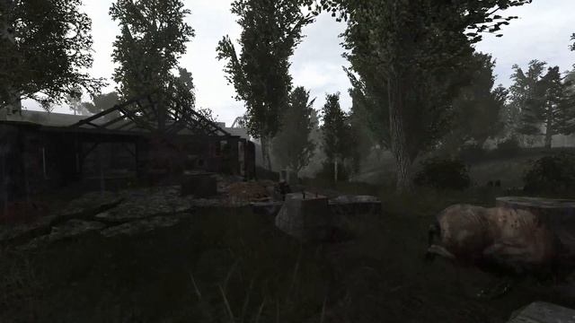 Stalker Anomaly Ambience - Cordon Abandoned Farmstead - Wind Sounds - Gaming Ambience - For Working