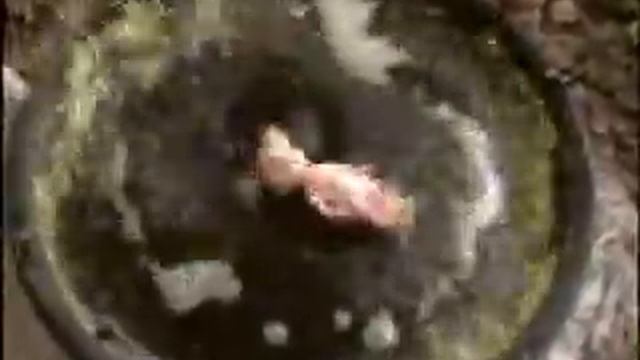 ARTEFAKTAI bionika CYMATIC 3 quake tsunami смотреть онлайн