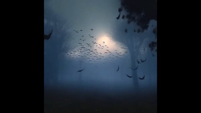 Мистические истории (озвучка) #мистика  #историиизжизни #страшныеистории #историинаночь #463