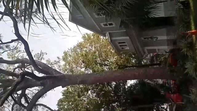Chief Of Gulfport Fl Police Arrest Ray Rodriguez After Speaking At City Council Meeting! смотреть онлайн