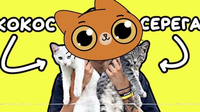 «Песня про котят» голосом Симбы @simb
