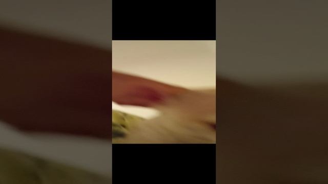 чел пук хотел сожрать мой обед