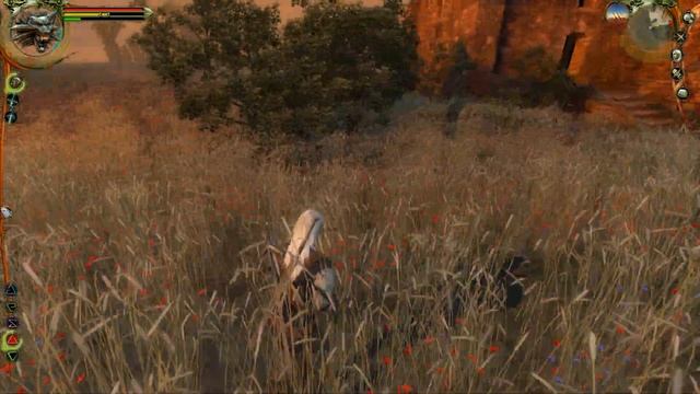 Похождение Геры или прохождение Ведьмака часть 53