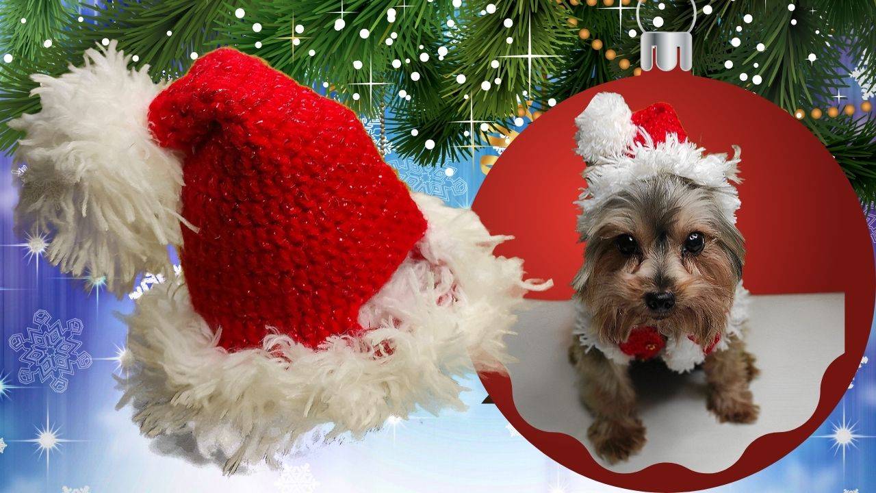 Новогодняя шапка (колпак) Санты для собаки крючком смотреть онлайн