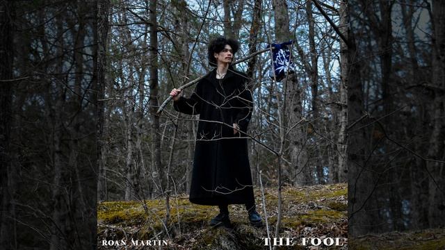 The Fool смотреть онлайн