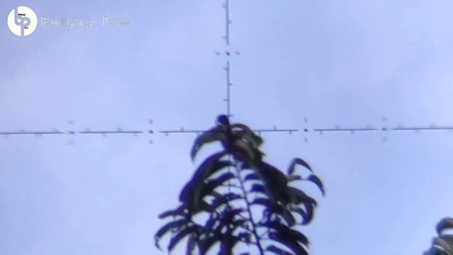 Marcool Glacier 4.5-18x44 HD FFP||Killua 160cc Qys Dome 942Fps смотреть онлайн