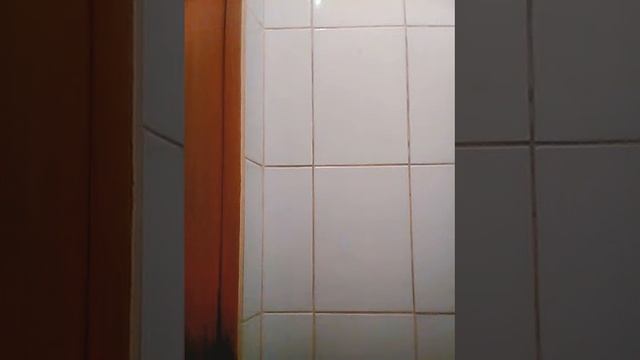 Как я показывают что у меня в сумке смотреть онлайн