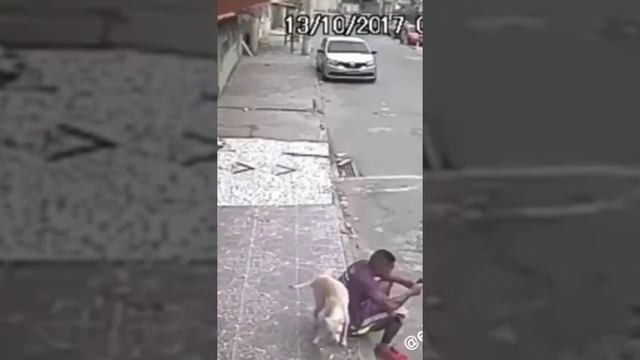 Приколы смотреть онлайн