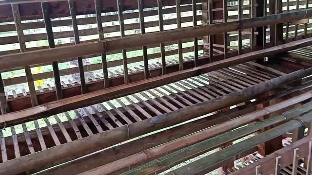 LOW BUDGET DIY LAYER CAGE DESIGN / RTL na lang kulang / BACKYARD POULTRY FARMING смотреть онлайн