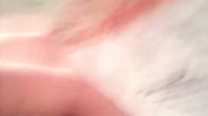 Как сделать из ненужной каробки из под обуви домик для пони