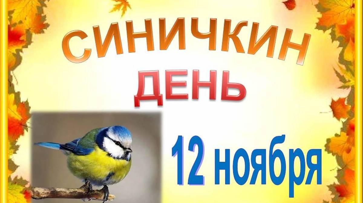 Синичкин день 12 ноября смотреть онлайн