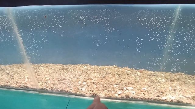 ремонт длинного аквариума смотреть онлайн