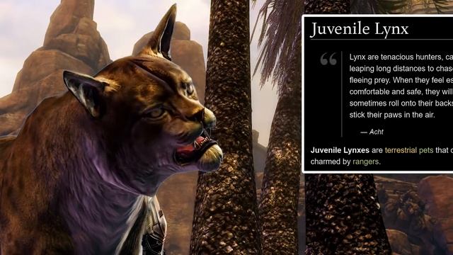 Guild Wars 2 | Ranger Pet Guide: Feline | The Herald смотреть онлайн
