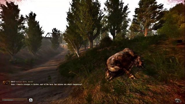 Stalker Anomaly Surviving the Zone Live Play смотреть онлайн