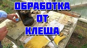 Обработка пчел от клеща. Весенняя подкормка отводков. Беглый осмотр отводков.