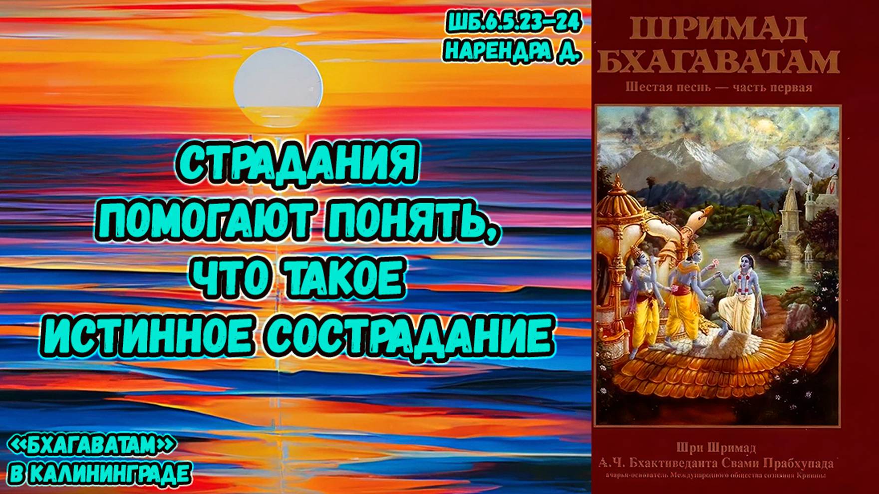 Страдания помогают понять, что такое истинное сострадание. Нарендра д. ШБ.6.5.23–24