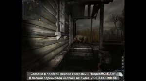 S.T.A.L.K.E.R. #1. Бессмертные бандиты. Кабан-чистонебовец
