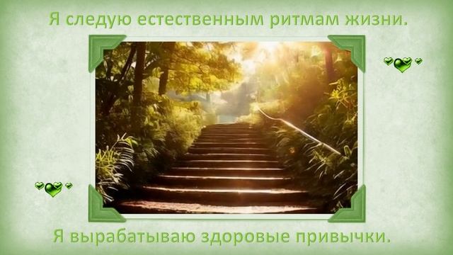 Я следую естественным ритмам смотреть онлайн