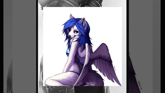 ФурриThe furry. Милые пушистые и красивые