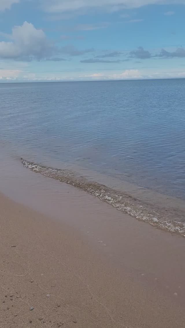 Карелия 2024. Ладожское озеро. Приозерск. Июль 2024 (Часть 5).mp4 смотреть онлайн