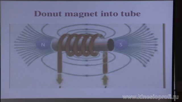 01 Новые кинезиологические технологии в восстановлении функции нервной системы Шейфер смотреть онлайн