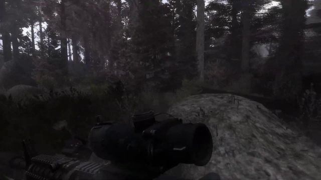 Anomaly 1 5 1 Рыжий лес