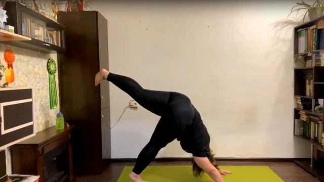 Хатха-йога для начинающих с элементами Пранаямы. Лина Королева. смотреть онлайн