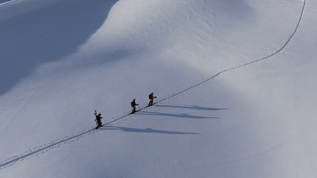 10240851-hd_1920_1080_30fps