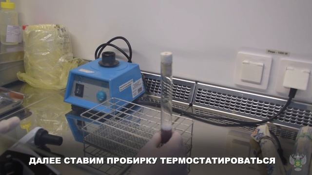 Будни Россельхознадзора смотреть онлайн