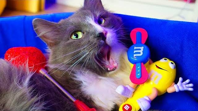 День рождения Алисы и очень странные игрушки 🤯 смотреть онлайн