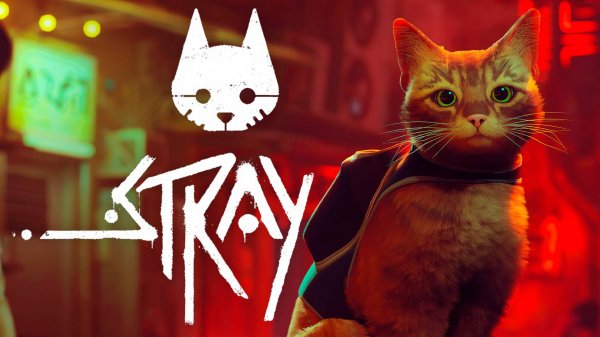 Stray┃Спидран┃Any% Glitchless┃СТРИМ┃Достижение "Скорокот"