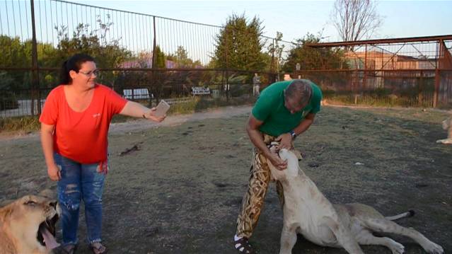 Олежка караулит нашу машинку !Туристы сами себя успокаивают ! смотреть онлайн