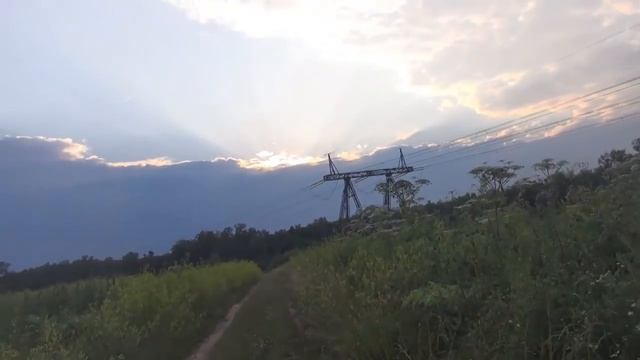 История Аманды Нокс (Amanda Knox). Foxy Knoxy (Хитрая Нокси)