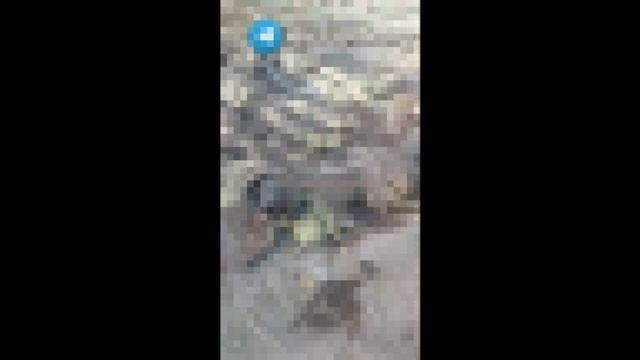 ⚡️СВО 18+ Фантастическая четвёрка из Селидово смотреть онлайн