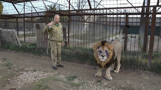 Как мы разрисовали мордаху Сему :)))) смотреть онлайн