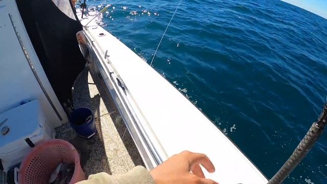 STRONG FISH, BIG PAYDAY (Commercial Grouper Fishing North Carolina) смотреть онлайн