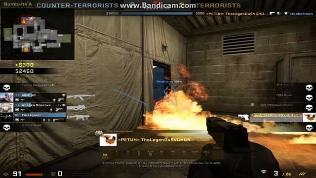 Eco cheats смотреть онлайн