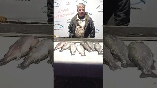 поговорили с гостем смотреть онлайн