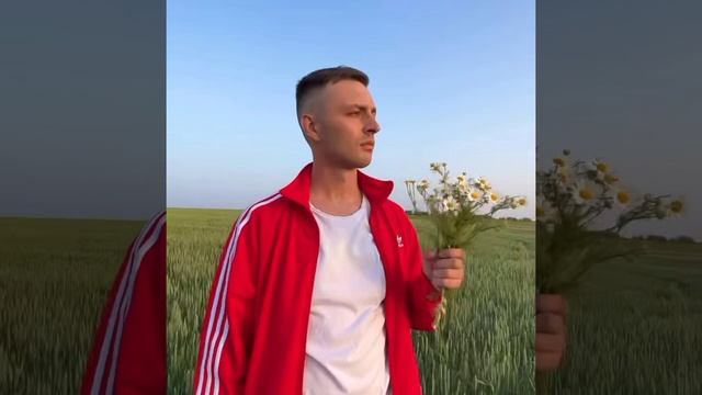 Мэвл - Любовь сигареты /премьера трека #мэвл #bestmusic смотреть онлайн
