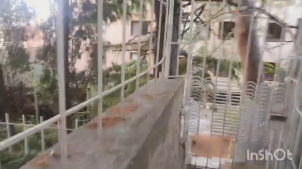 «Вилла Багратион» гостевой дом/ Что купили ? что взяла с собой. @HelenLin1