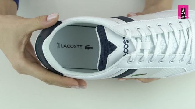 Видеообзор I Мужские кеды LACOSTE 2094354 смотреть онлайн