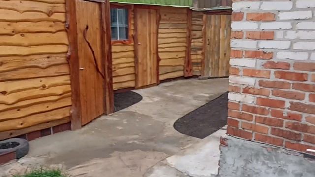 рыбий дом с наружи смотреть онлайн