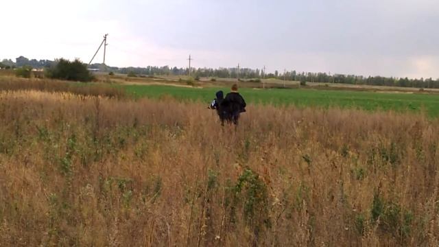 STALKER - Реальная жизнь смотреть онлайн