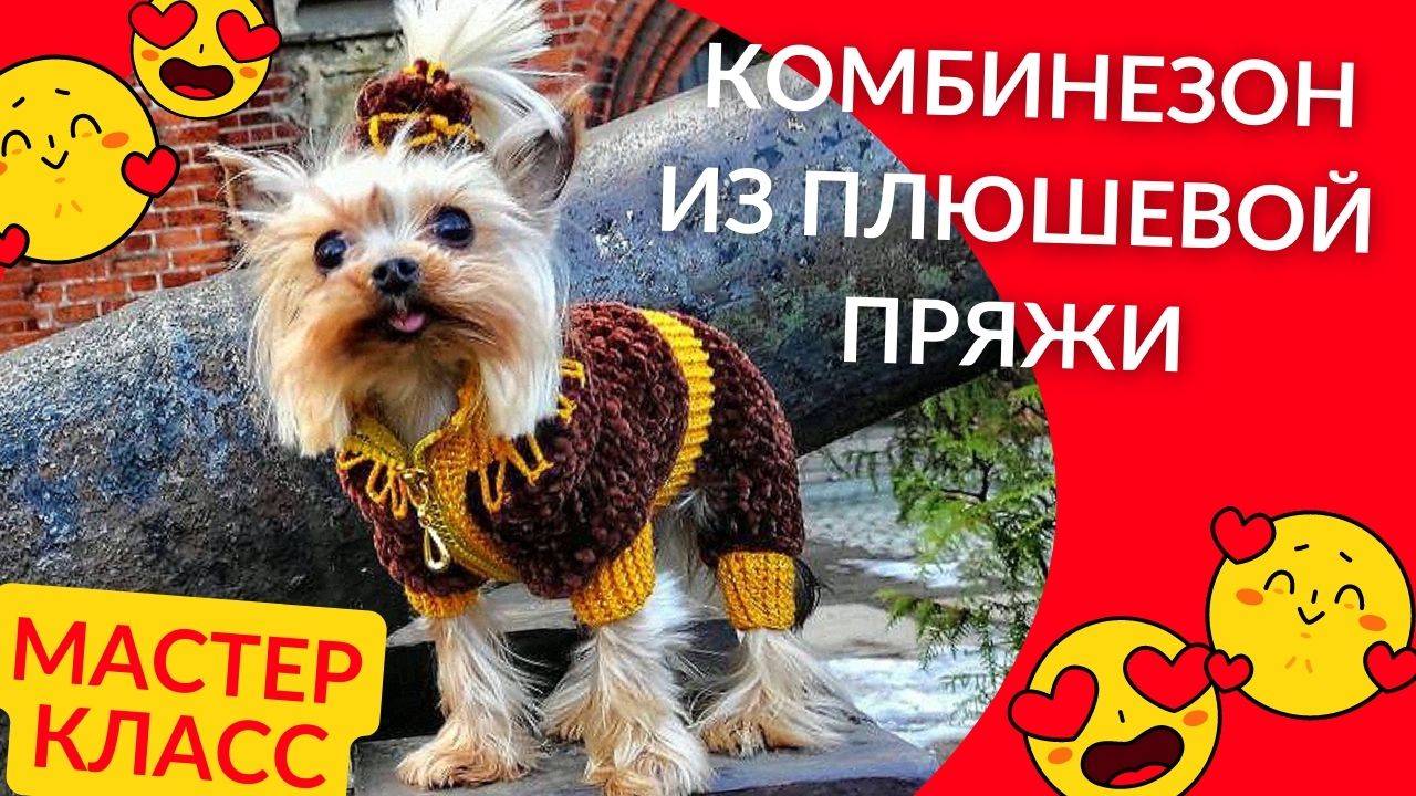 Мастер класс: как связать комбинезон из плюшевой пряжи для собаки крючком смотреть онлайн