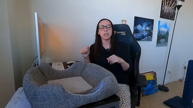 Single cat happiness hacks (stuff that's worth your money) смотреть онлайн