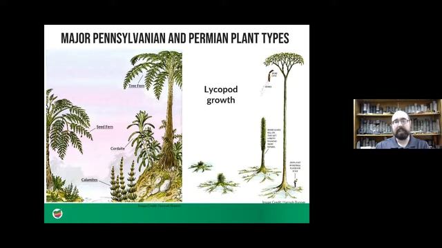 Ohio Rock Talks  Episode 3: Ohio’s Terrestrial Fossils