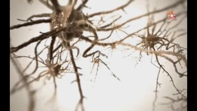 Загадка памяти раскрыта | Процесс запоминания смотреть онлайн