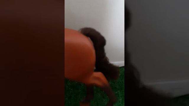 Meet Ursula and Cherry from Spirit Riding Free смотреть онлайн