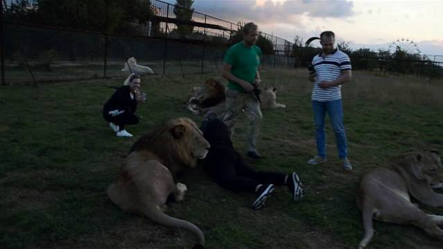 Любовь .Вечер .Тайган. смотреть онлайн