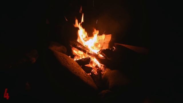 Scary Reddit Stories For A Dark Winter Night | Cryptid, Park Ranger, Scary Encounters, Scary Stalke смотреть онлайн